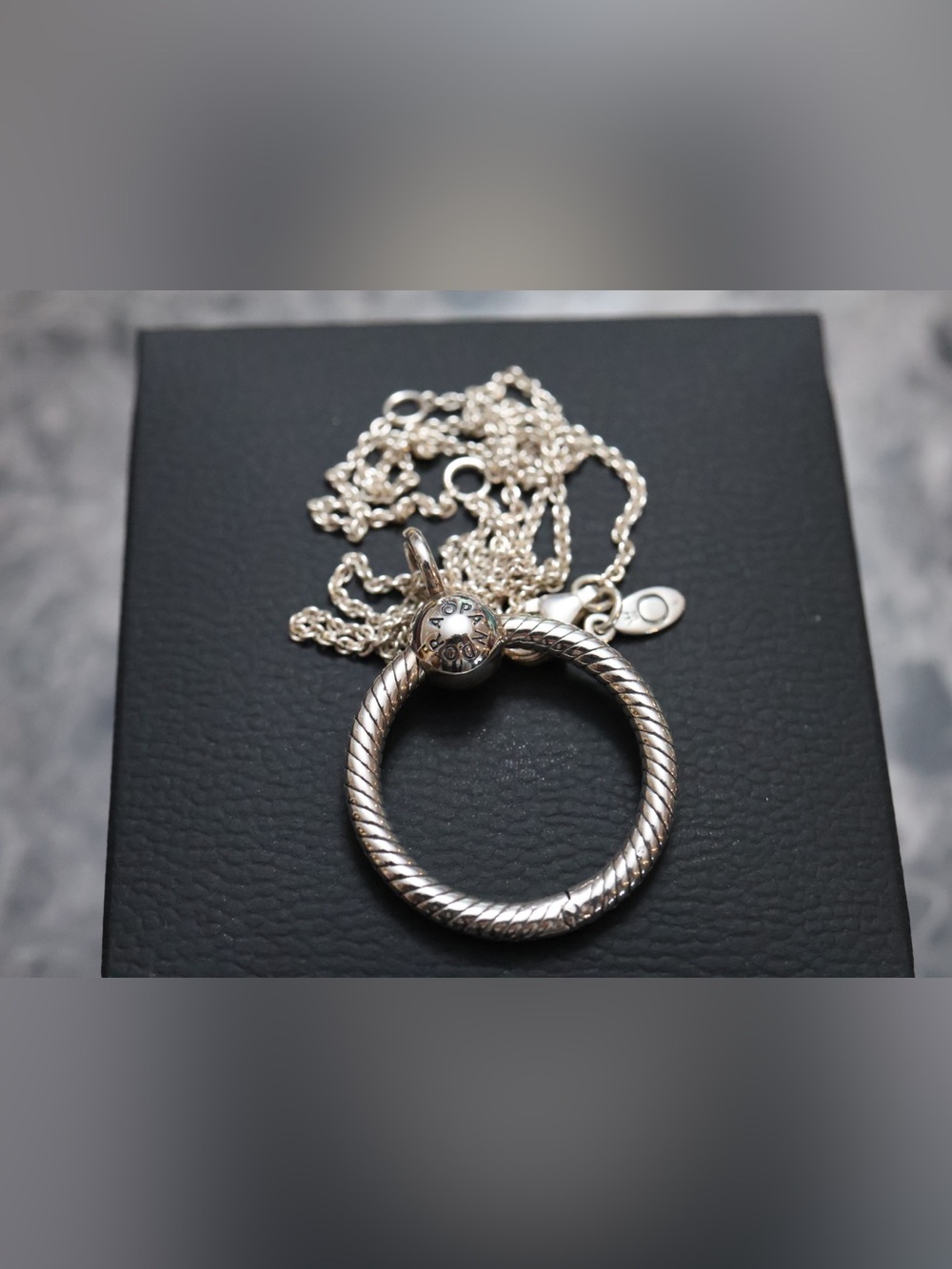Pandora Silver Rope Circle Pendant Necklace